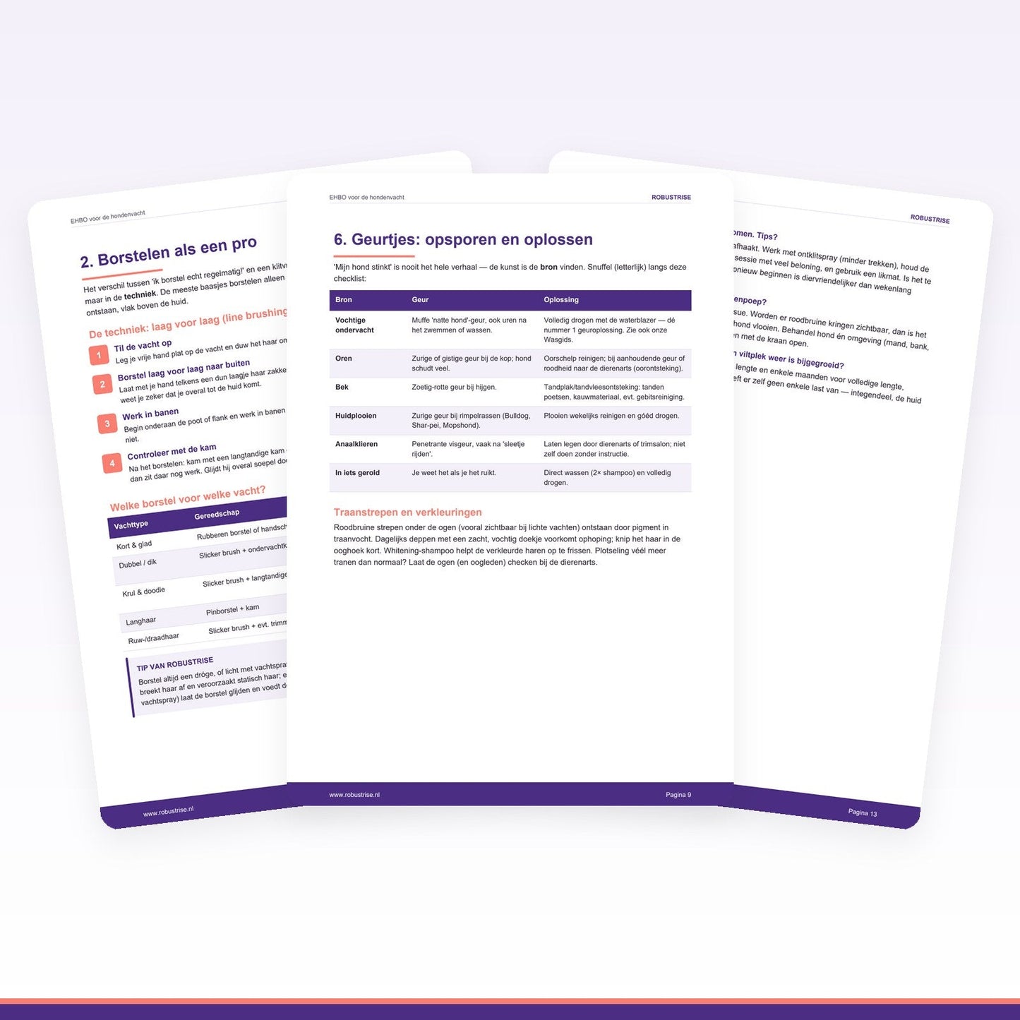 E-book: EHBO voor de hondenvacht — Klitten, roos & verharen (PDF) - Robustrise.nl
