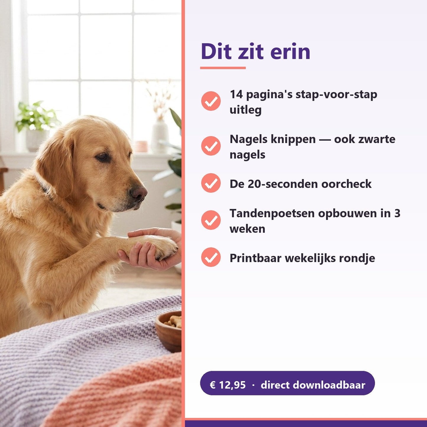 E-book: Nagels, poten, oren, ogen & tanden — De kleine verzorging (PDF) - Robustrise.nl