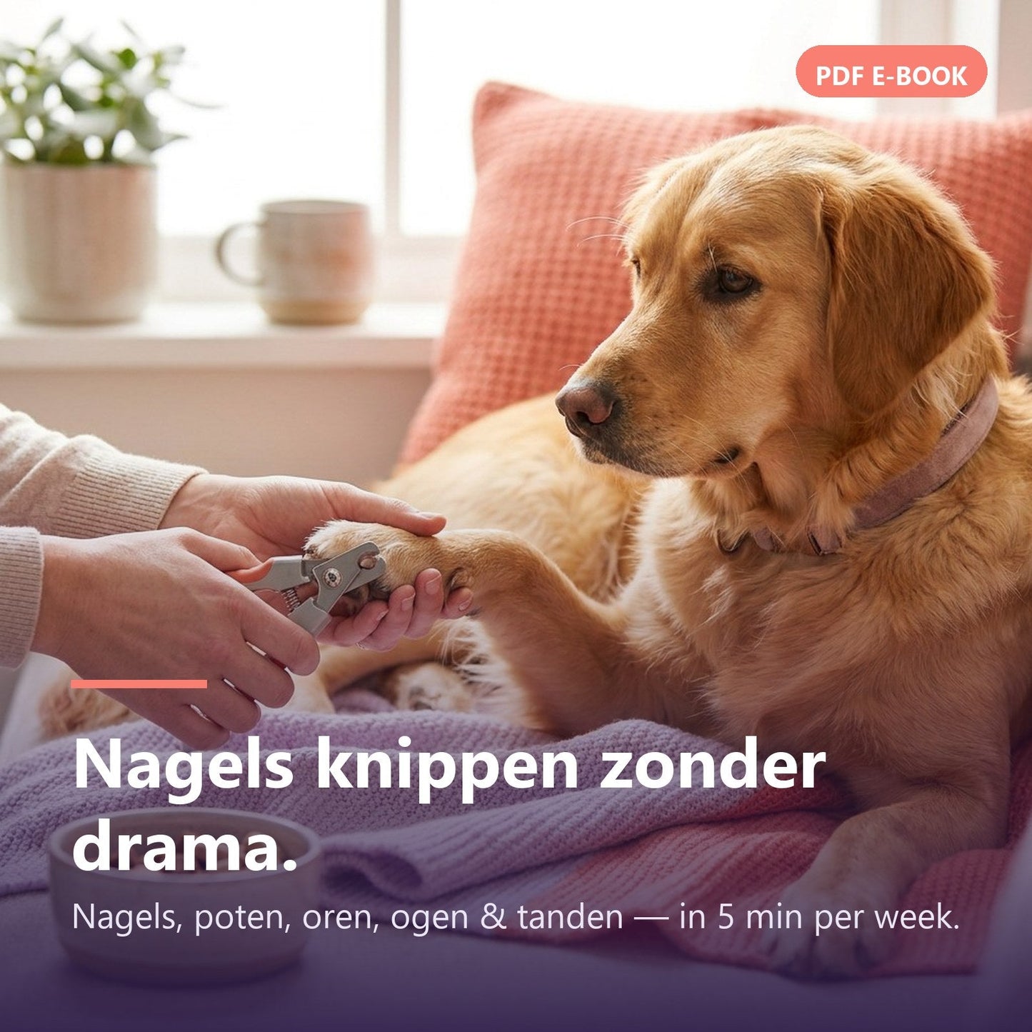 E-book: Nagels, poten, oren, ogen & tanden — De kleine verzorging (PDF) - Robustrise.nl