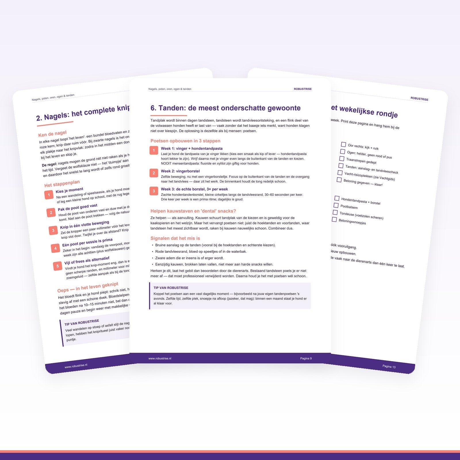 E-book: Nagels, poten, oren, ogen & tanden — De kleine verzorging (PDF) - Robustrise.nl