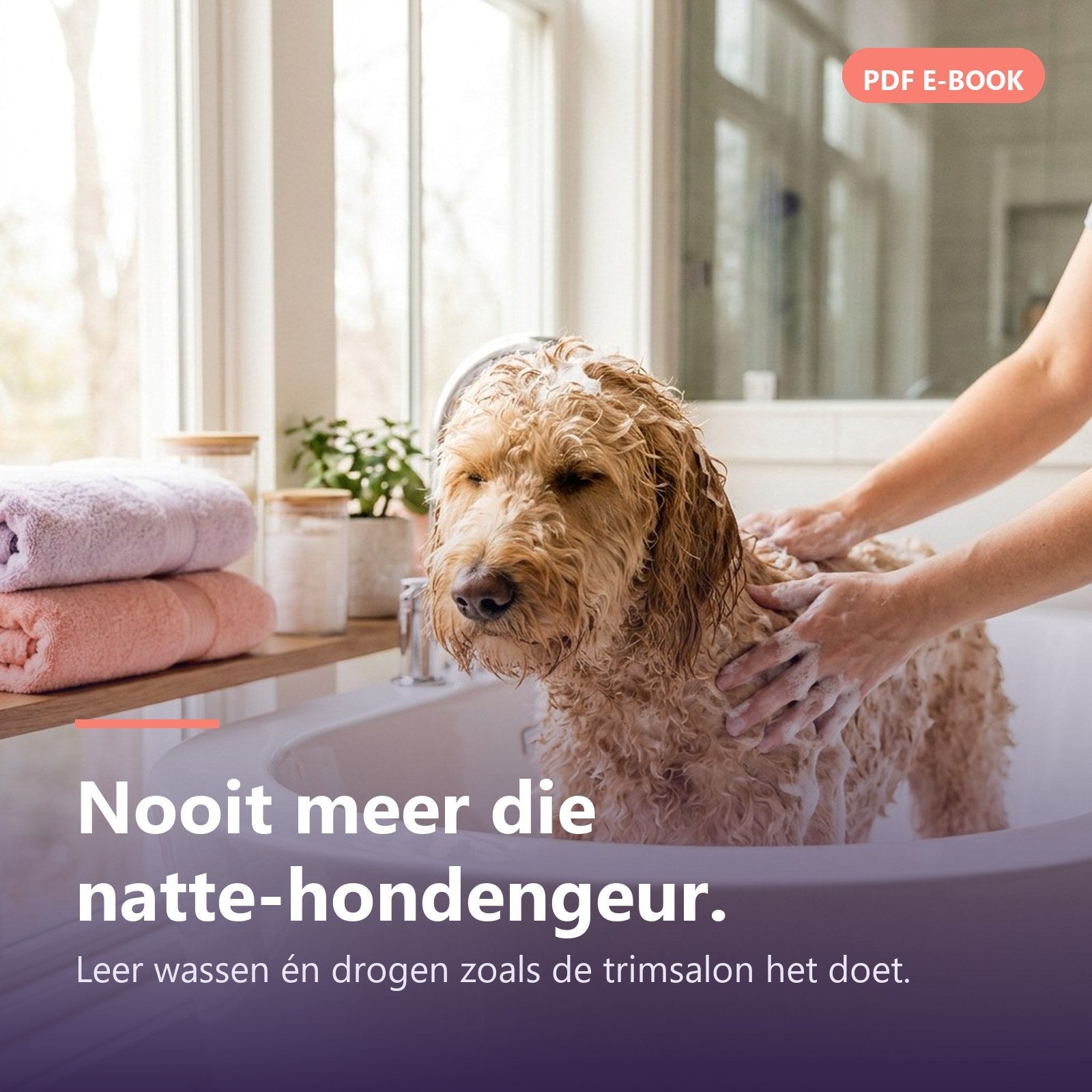E-book: Zelf je hond wassen & drogen — Complete gids (PDF) - Robustrise.nl
