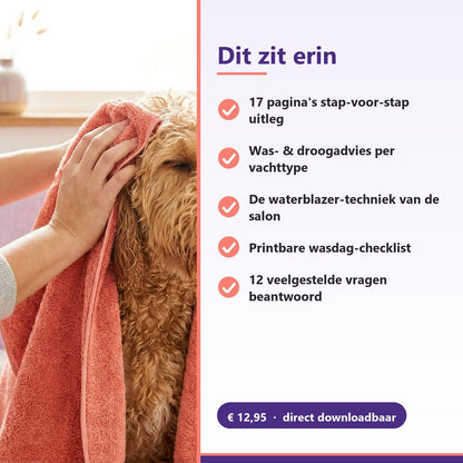 E-book: Zelf je hond wassen & drogen — Complete gids (PDF) - Robustrise.nl