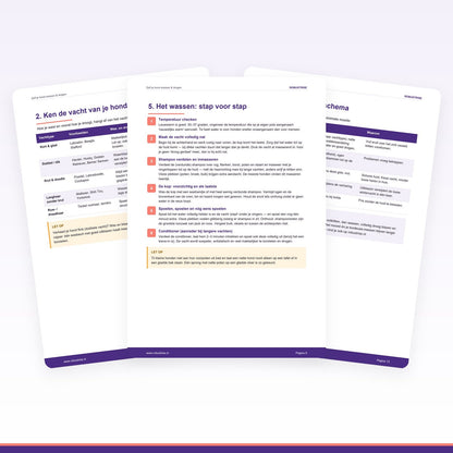 E-book: Zelf je hond wassen & drogen — Complete gids (PDF) - Robustrise.nl
