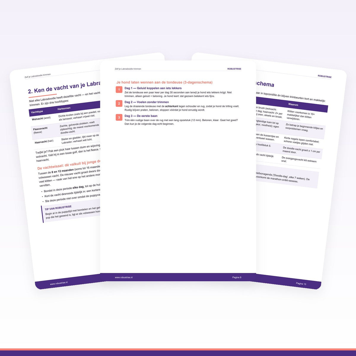 E-book: Zelf je Labradoodle trimmen — Complete stap-voor-stapgids (PDF) - Robustrise.nl