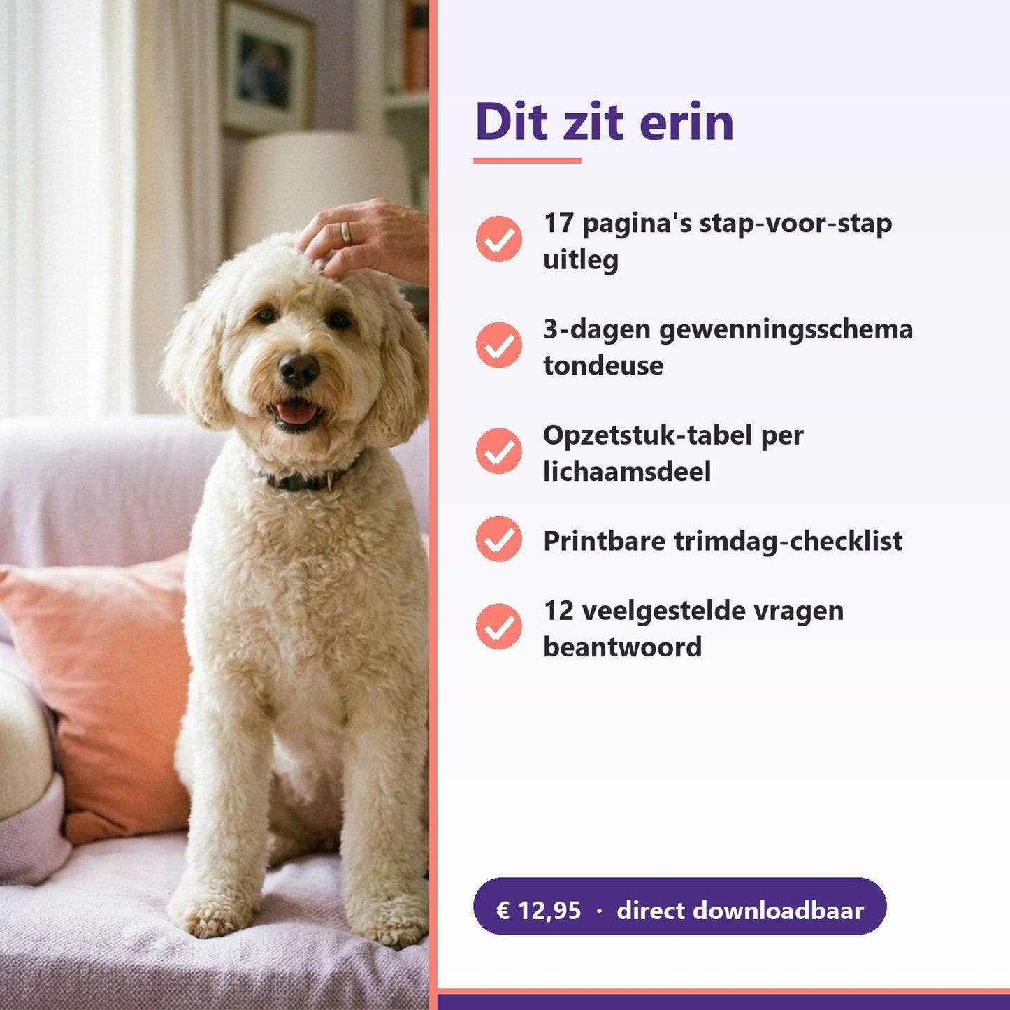 E-book: Zelf je Labradoodle trimmen — Complete stap-voor-stapgids (PDF) - Robustrise.nl