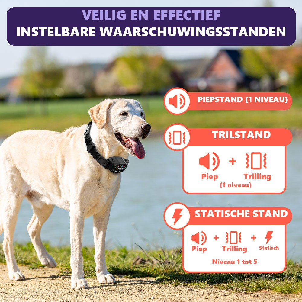 Waarschuwingsstanden piep, trilling en statische correctie