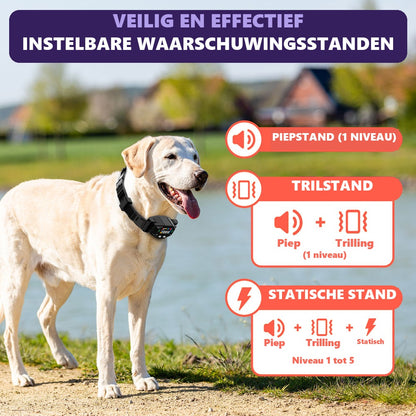 Waarschuwingsstanden piep, trilling en statische correctie