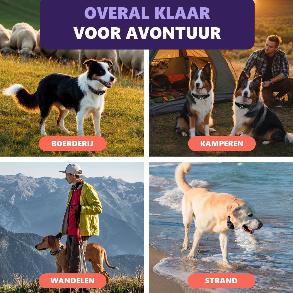 GPS-omheining in gebruik op de boerderij, camping, wandeling en strand