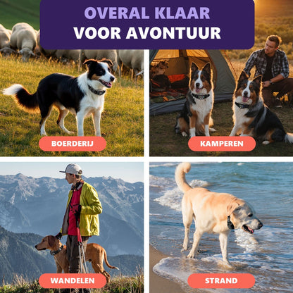 GPS-omheining in gebruik op de boerderij, camping, wandeling en strand