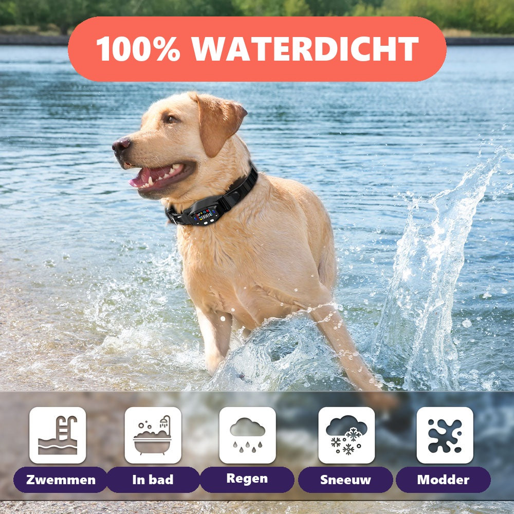 Waterdichte GPS-halsband, geschikt voor zwemmen en regen