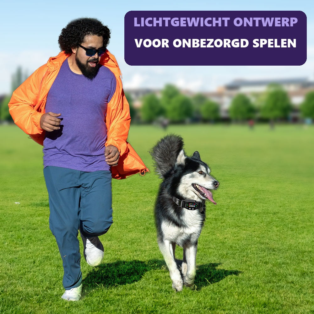 Lichtgewicht GPS-halsband tijdens het spelen met je hond