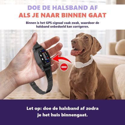 Doe de halsband af zodra je naar binnen gaat