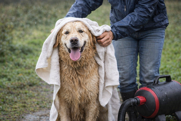 @trail_hounds