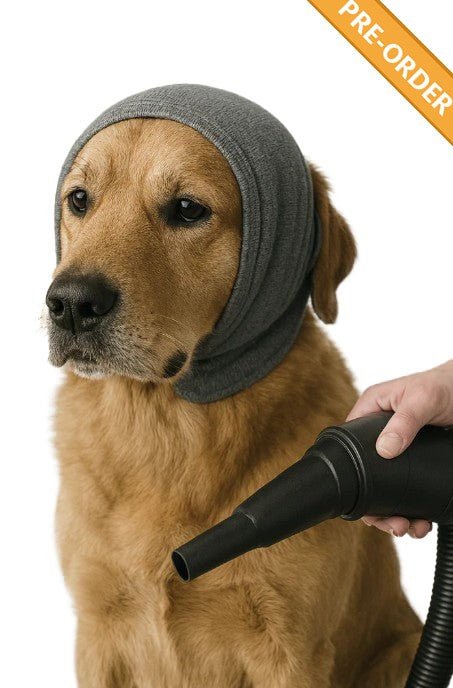 Oorbescherming Hond - Robustrise - Voor Hondenföhn - Robustrise.nl