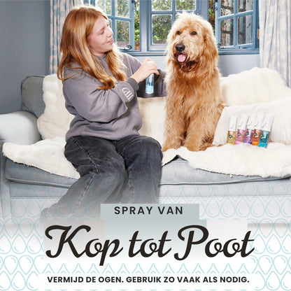 Pet Head Hair Mist Aqua Tonic Geurmist 100ml - Robustrise.nl