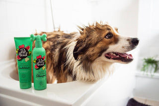 Pet Head Mucky Puppy Conditioner 250ml
