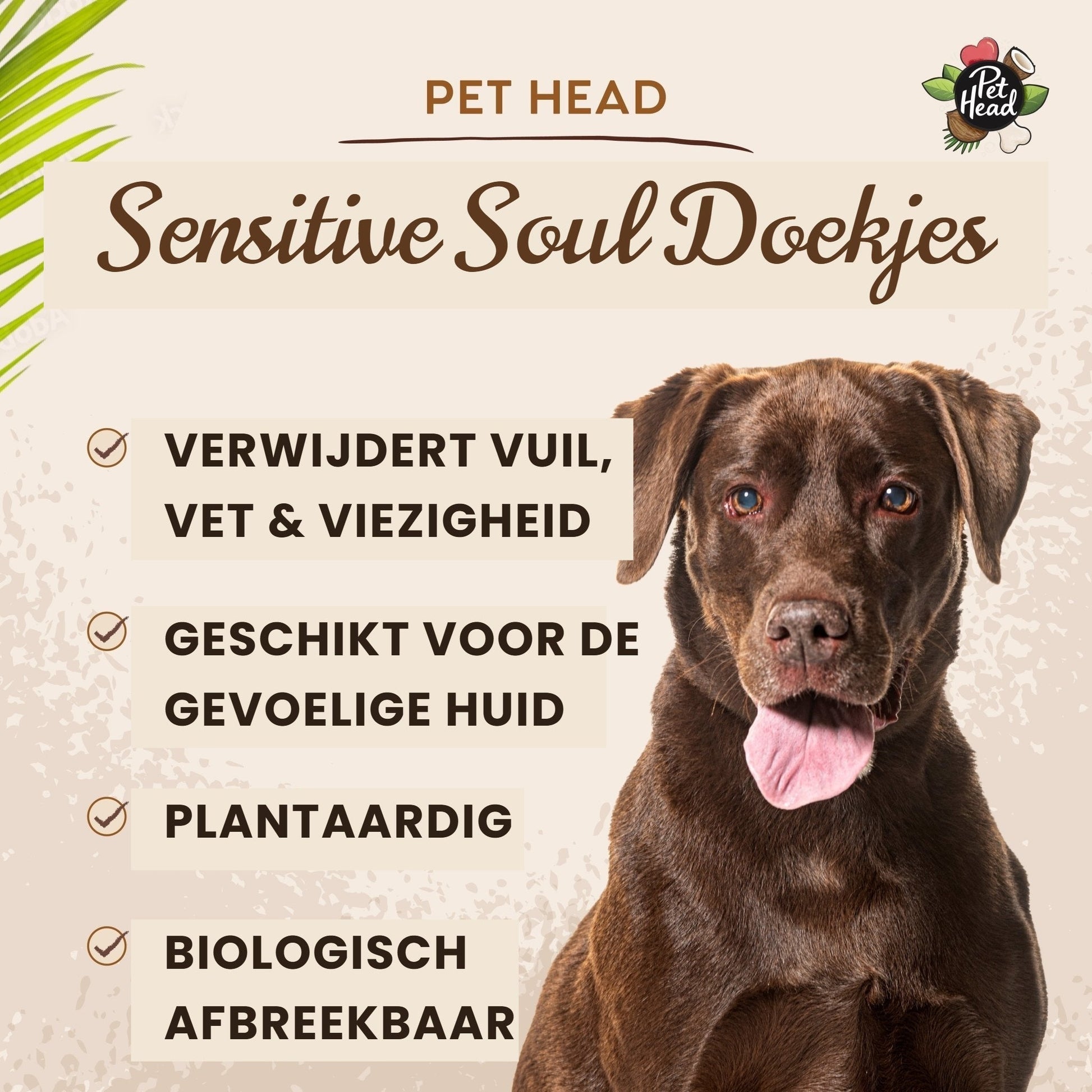 Pet Head Sensitive Soul Doekjes 100ct - Robustrise.nl