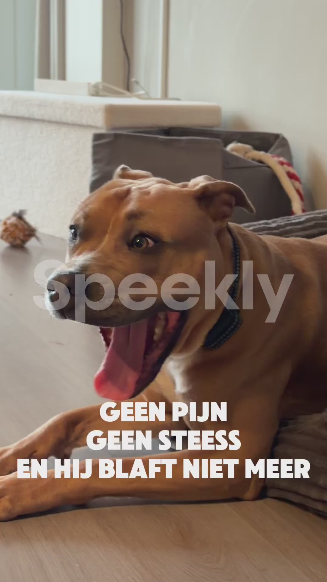 Video laden: Robustrise anti blafband in gebruik