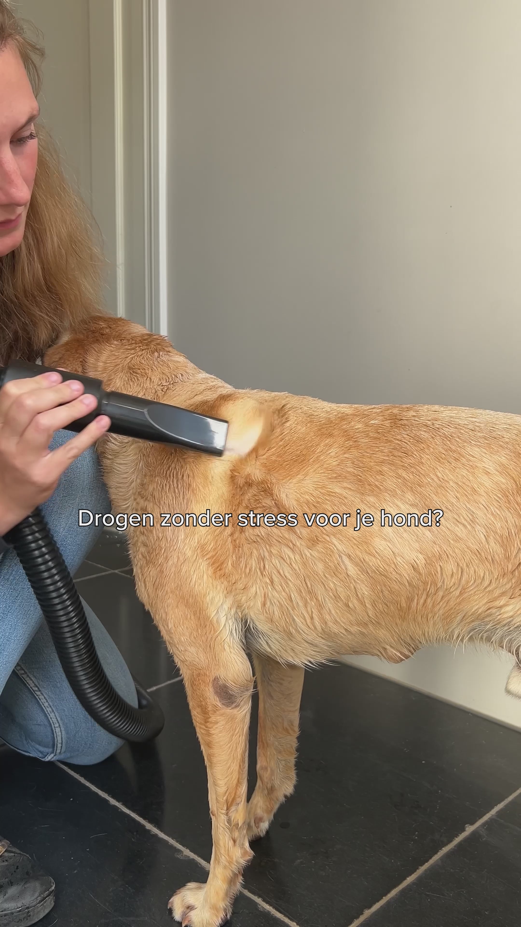 Video laden: Waterblazer robustrise.nl