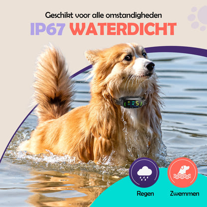 Robust Rise Anti Blafband - Trainingshalsband - Robustrise.nl