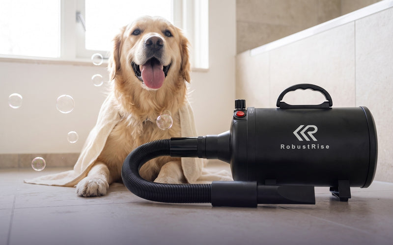Vrolijke golden retriever met handdoek-cape en zeepbellen naast de zwarte Robustrise waterblazer met RobustRise-logo