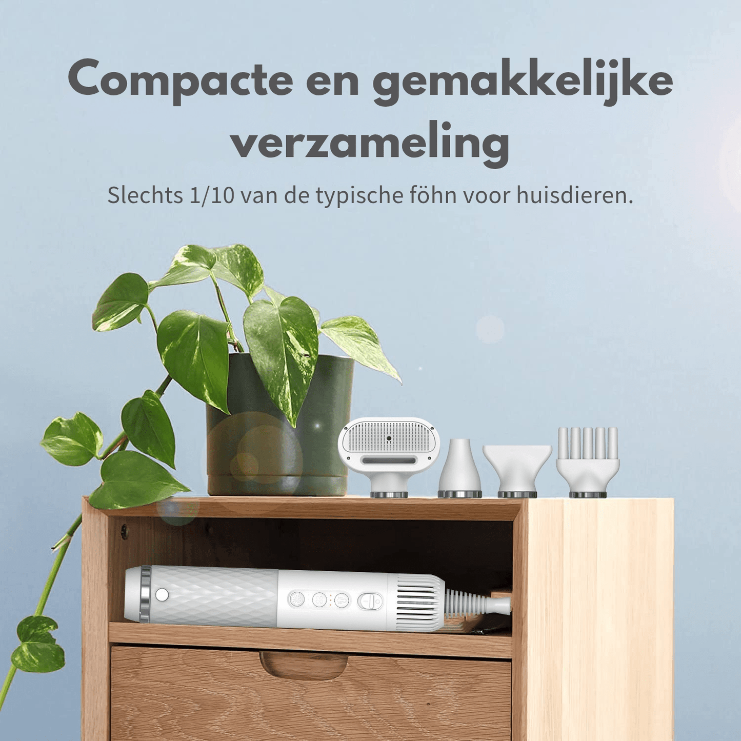 Robustrise Hondenföhn – Kleine Honden - Robustrise.nl