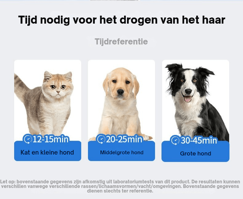 Robustrise Hondenföhn – Kleine Honden - Robustrise.nl