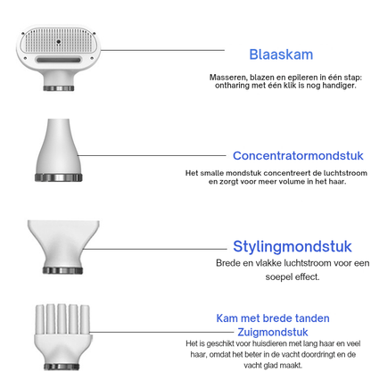 Robustrise Hondenföhn – Kleine Honden - Robustrise.nl