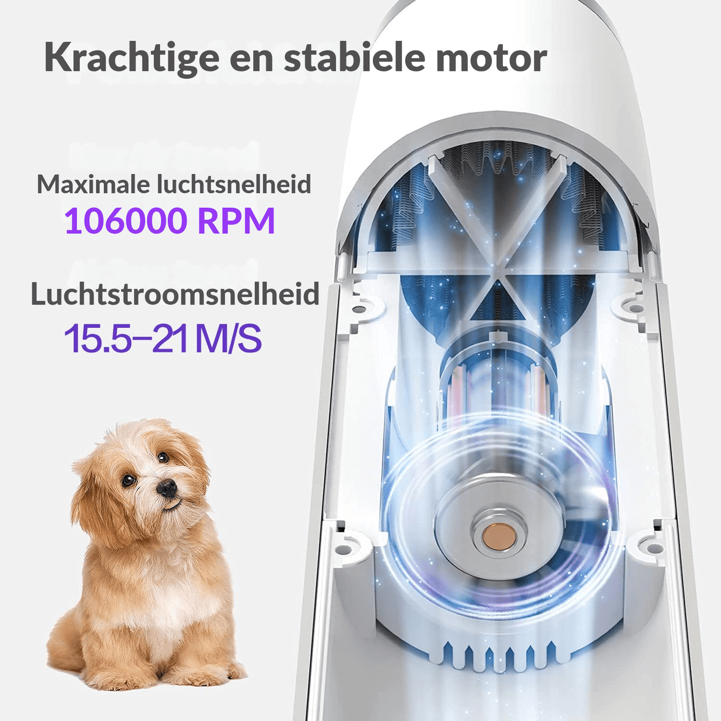 Robustrise Hondenföhn – Kleine Honden - Robustrise.nl