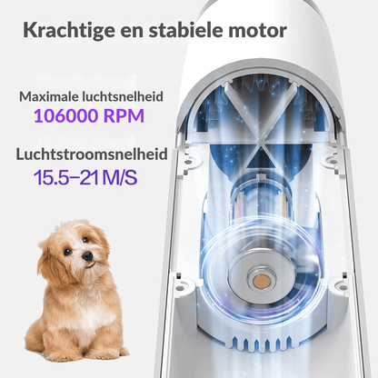 Robustrise Hondenföhn – Kleine Honden - Robustrise.nl