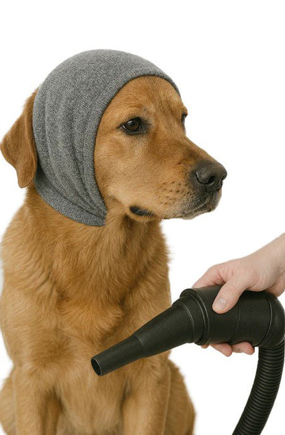 Robustrise Oorbescherming Hond Voor Hondenfohn - Robustrise.nl