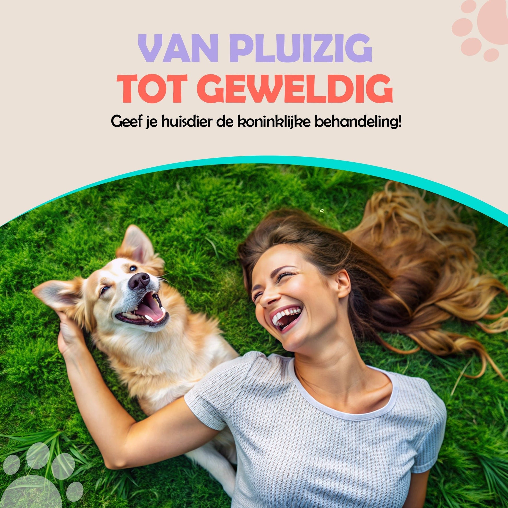 Robustrise RVS Hondentondeuse - Robustrise.nl