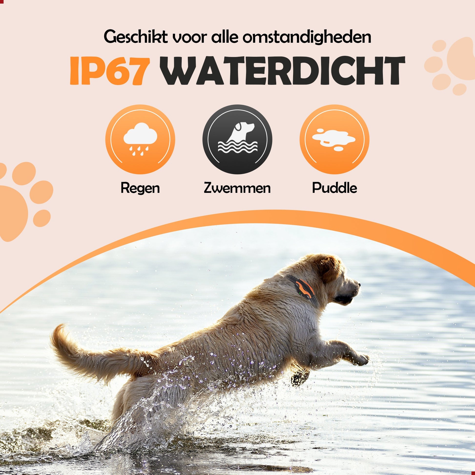 Robustrise X1 Pro Anti Blafband - Hondentrainer - Robustrise.nl