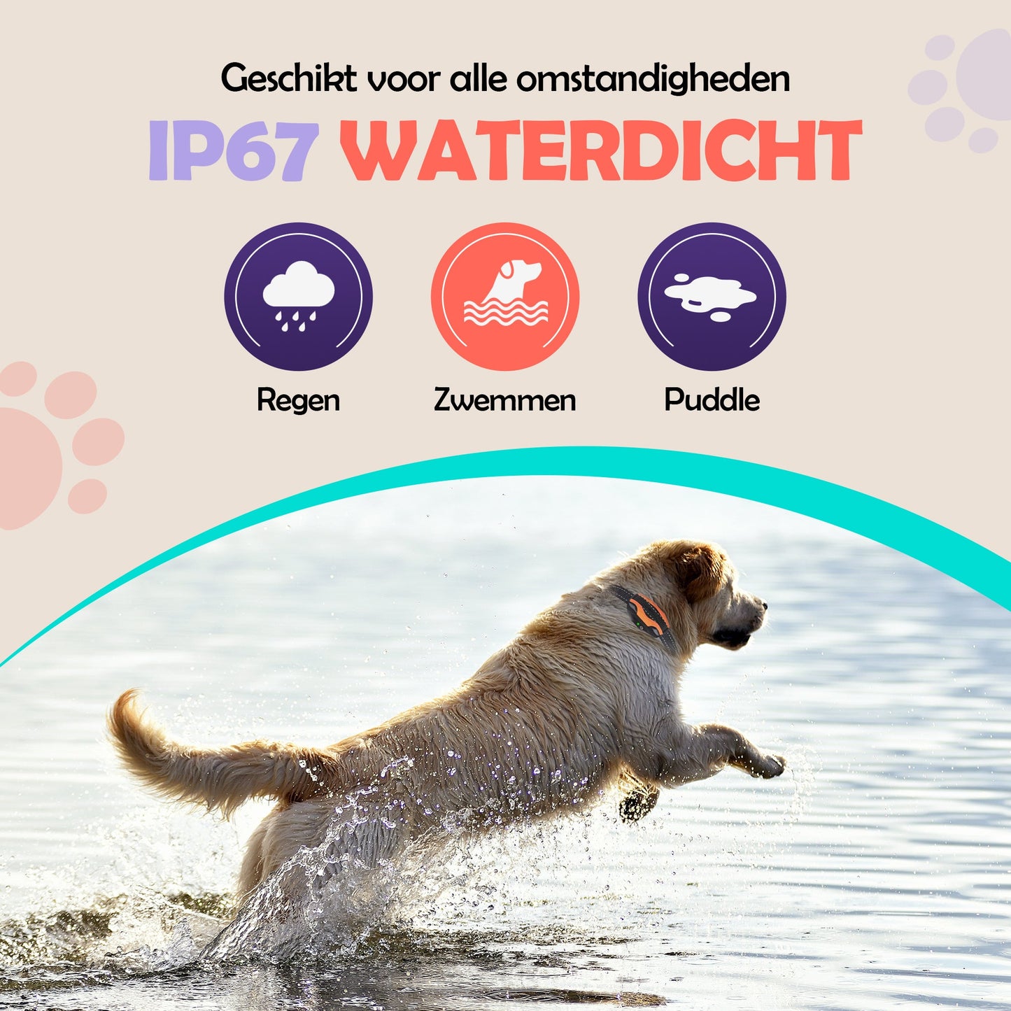 Robustrise X1 Pro Anti Blafband - Hondentrainer - Robustrise.nl