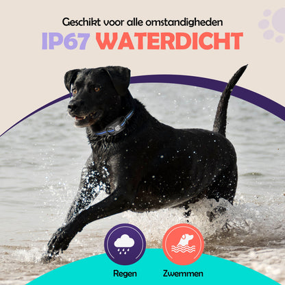 Robustrise X2 Pro Anti Blafband - Hondentrainer - Robustrise.nl