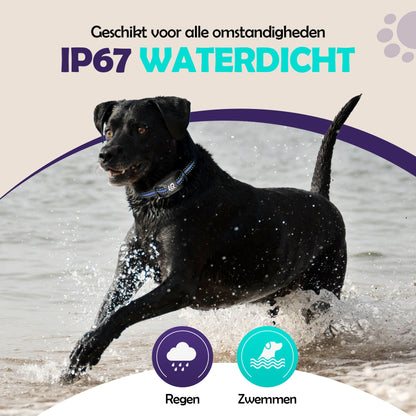 Robustrise X2 Pro Anti Blafband - Hondentrainer - Robustrise.nl