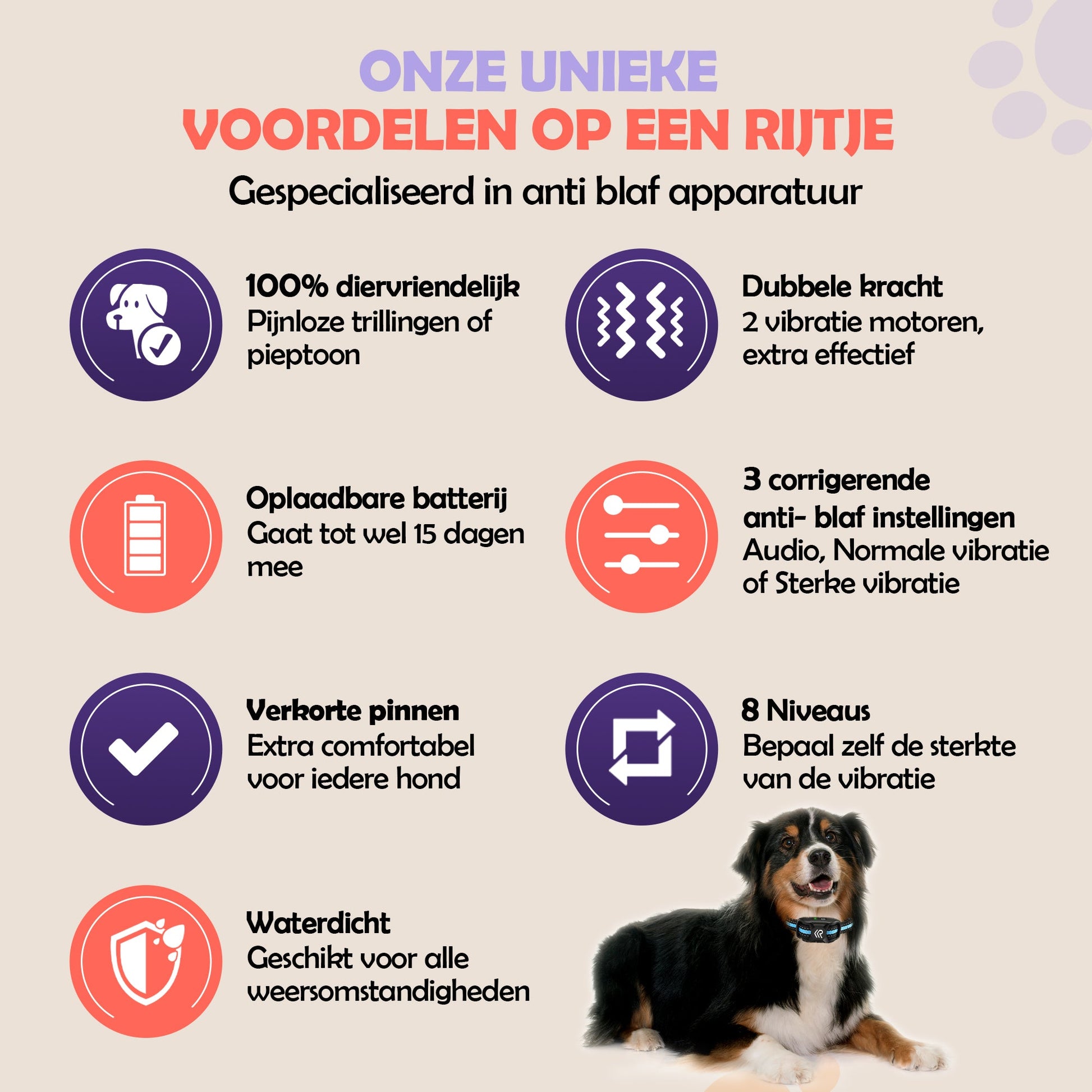 Robustrise X2 Pro Anti Blafband - Hondentrainer - Robustrise.nl