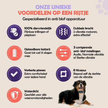 Robustrise X2 Pro Anti Blafband - Hondentrainer - Robustrise.nl