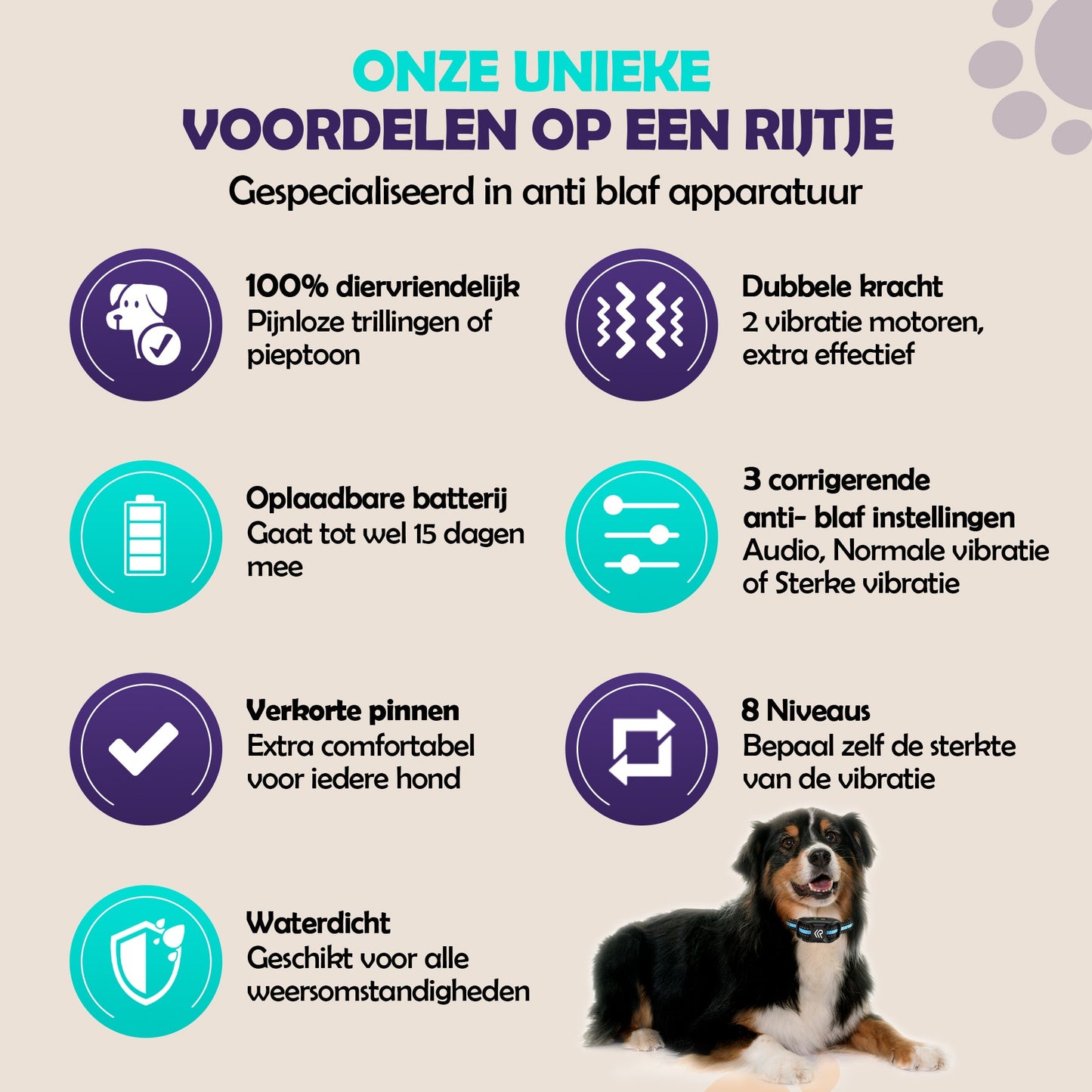 Robustrise X2 Pro Anti Blafband - Hondentrainer - Robustrise.nl