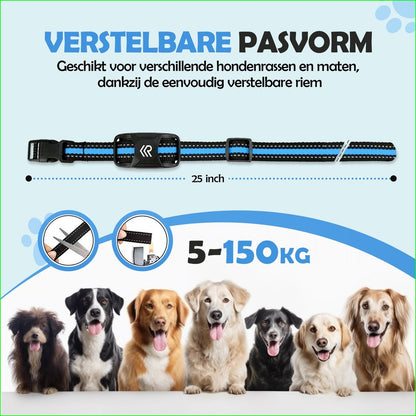 Robustrise X2 Pro Anti Blafband - Hondentrainer - Robustrise.nl