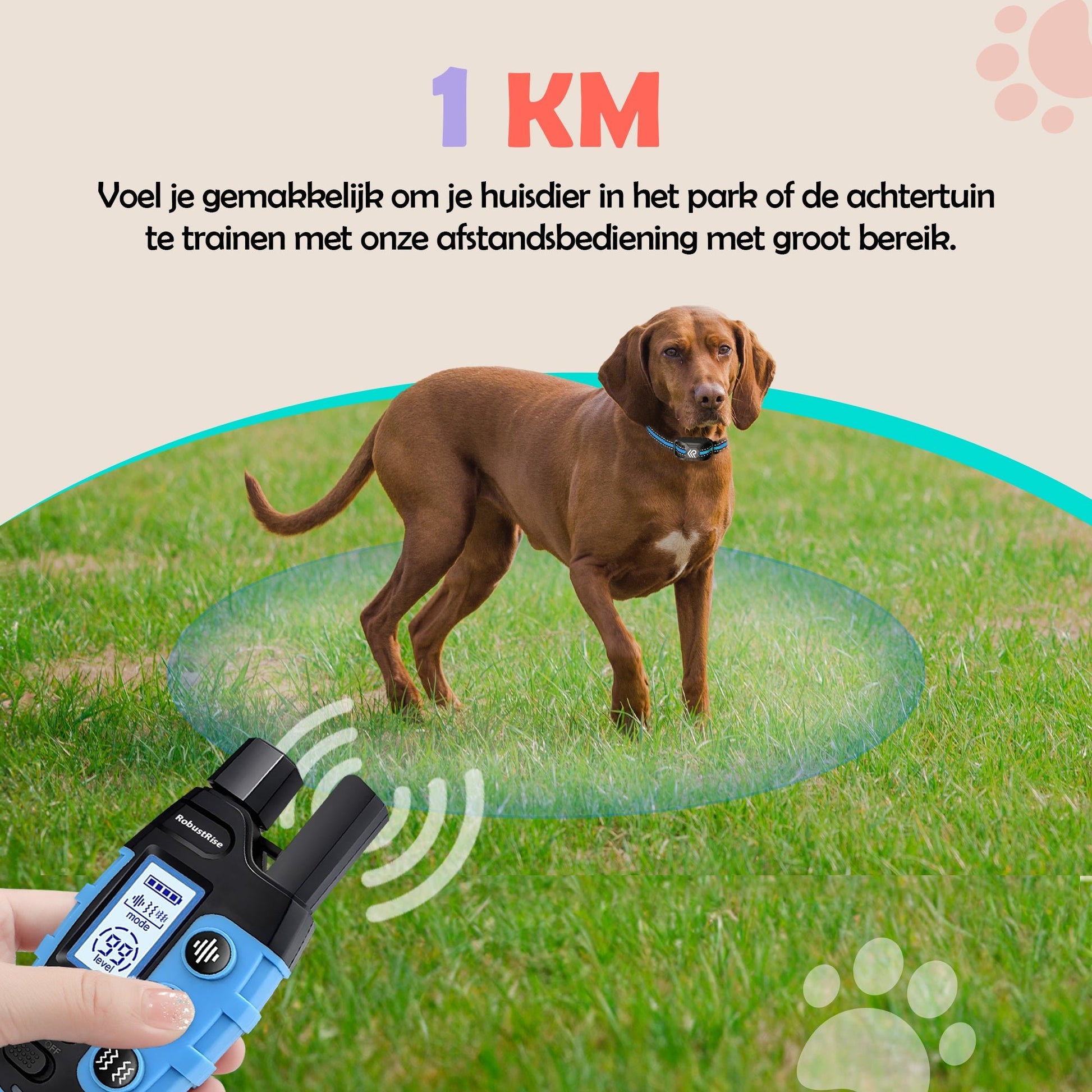 Robustrise X2 Pro Anti Blafband - Hondentrainer - Robustrise.nl