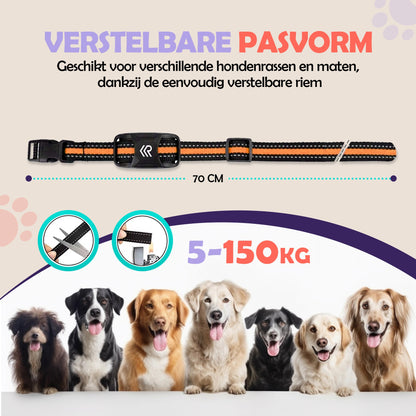 Robustrise X2 Pro anti blafband - Hondentrainers - Robustrise.nl