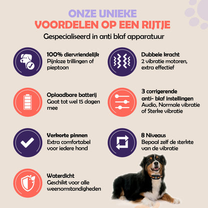 Robustrise X2 Pro anti blafband - Hondentrainers - Robustrise.nl