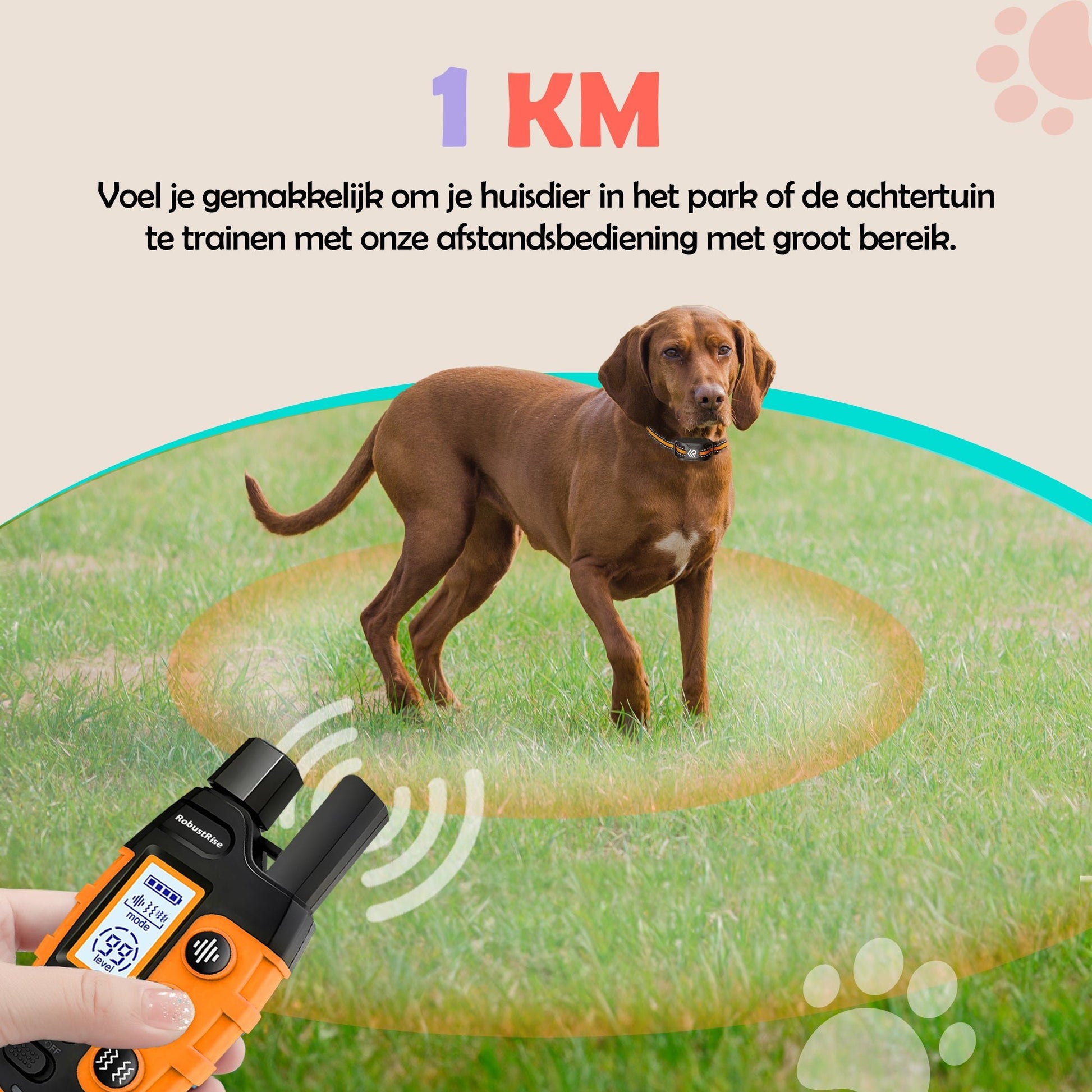 Robustrise X2 Pro anti blafband - Hondentrainers - Robustrise.nl