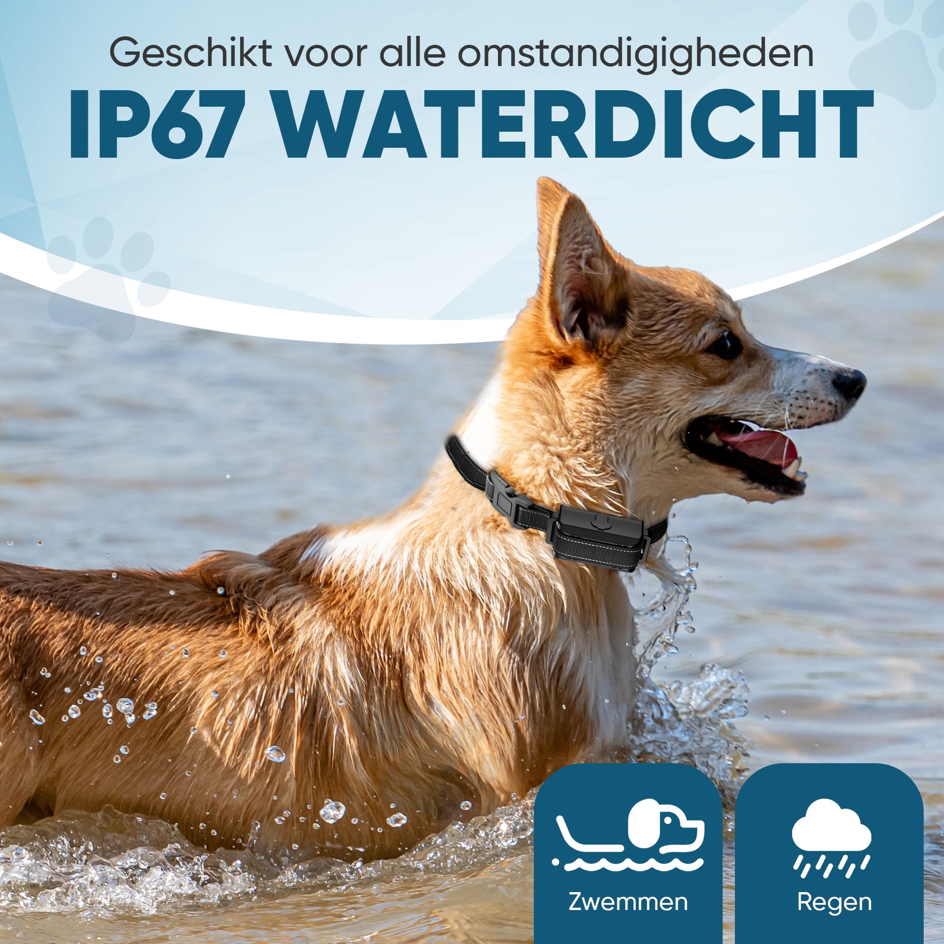 Robustrise X3 Pro anti blafband - Hondentrainer - Robustrise.nl