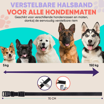 Robustrise X3 Pro anti blafband - Hondentrainer - Robustrise.nl
