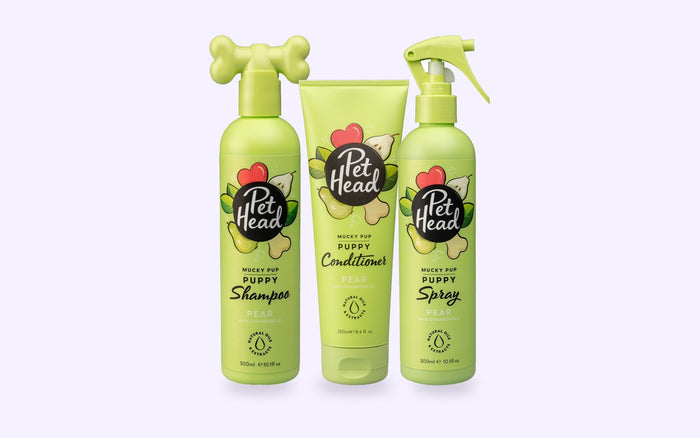 Pet Head Puppy Starterkit: Mucky Puppy hondenshampoo, conditioner en vachtspray samen in een set