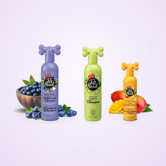 Shampoo Proefset: Pet Head Berry Bright, Mucky Puppy en Ultimutt Clean hondenshampoo