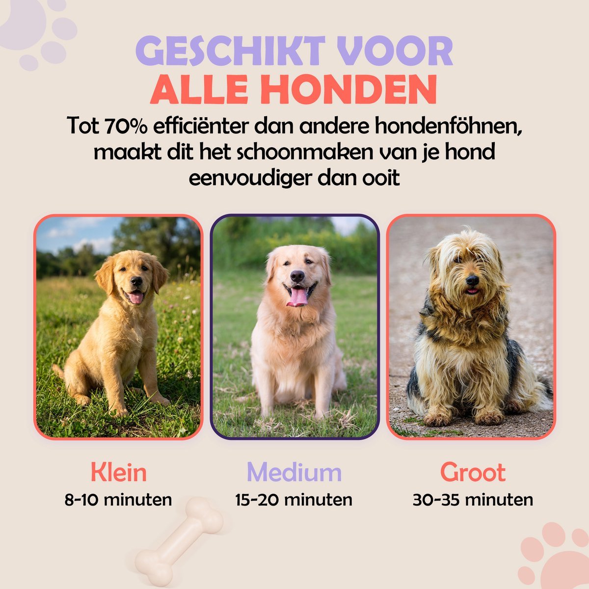 Waterblazer - Hondenföhn - Kleine Honden - Robustrise - Robustrise.nl
