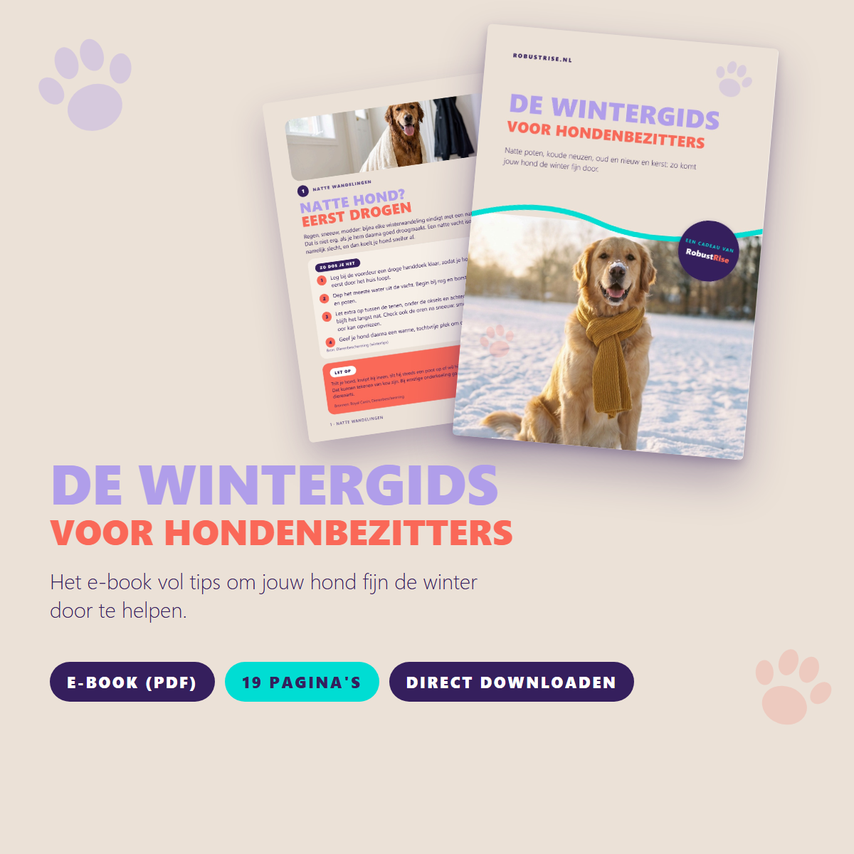 De Wintergids voor hondenbezitters: e-book (PDF) van 19 pagina's met winter-tips voor je hond